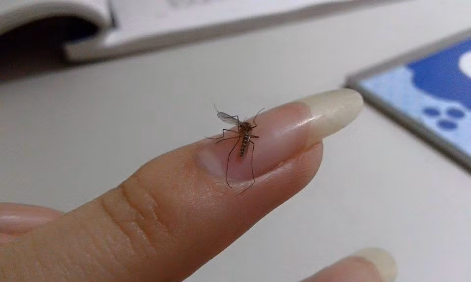 Chưa tới 1 giờ đăng tải mà bài viết đã nhận được gần 4000 lượt thích, hơn 1000 lượt chia sẻ và hàng nghìn bình luận khác như nickname Dung My có viết: ""Thua luôn, các ông các bà lắm trò quá đi mất, nhưng thú vị lắm đó, rất đặc biệt"