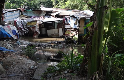 Canh nhech nhac khu o chuot trong Cong vien Gia Dinh TP HCM