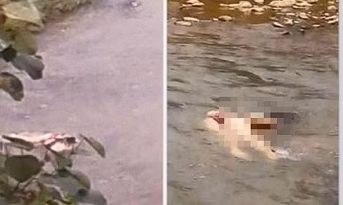 Chet khiep nhin thay nhieu phan thi the noi tren suoi