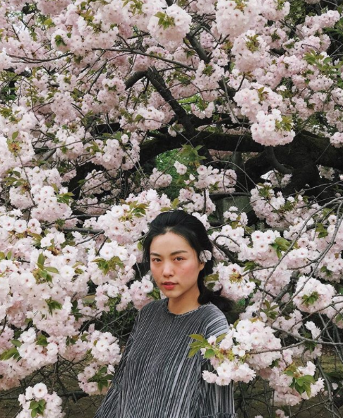 Chưa kể là với tâm hồn ăn uống lúc nào cũng cao chót vót, Hà Trúc cũng đã kịp thử qua hằng hà sa số những món ăn ngon ở đất nước mặt trời mọc.