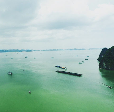 Sau đó, cặp đôi này đã di chuyển đến Hạ Long và bắt đầu cuộc hành trình khám phá kì quan thế giới.