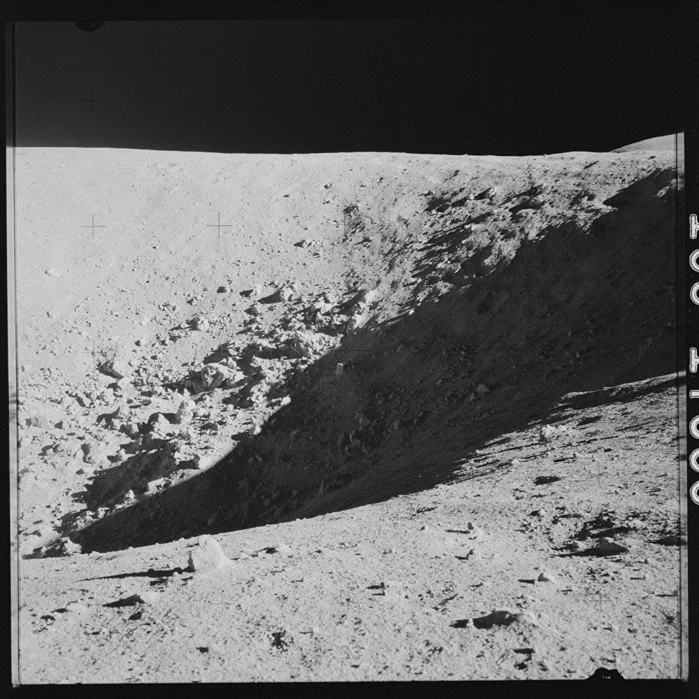 Đoàn phi hành gia đã mang theo hàng trăm hạt giống khi thực hiện nhiệm vụ, nhiều hạt trong số đó đã nảy mầm và được gọi là cây Mặt Trăng. (Nguồn: Sputniknews).