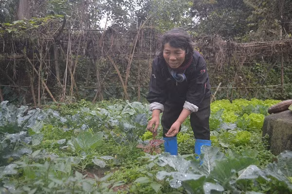 Cuộc sống giữa ốc đảo khiến cho hai người phụ nữ quên lấy chồng. Họ không muốn rời đảo, nơi đã sinh ra mình.