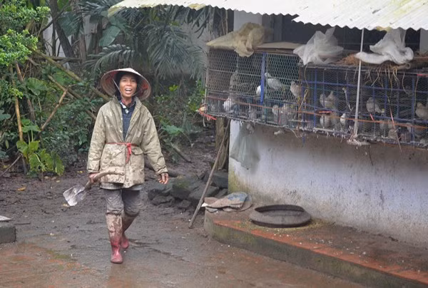 Cô Ngọc cho biết: “Gia đình cô sống ở đảo này từ năm 1948. Lúc đó ông cụ sinh ra cô quê gốc Thanh Hoá làm thầy lang. Sau khi được người nhà bệnh nhân mời đến chữa bệnh, thấy ở đây thuận lợi cho việc sinh sống và hành nghề, nên cụ ông đã định cư. Do thực dân Pháp vào làng càn quét, nên hai cụ đã mua đảo này để ở. Đảo có diện tích 2,2 mẫu và cũng là nơi 7 anh em nhà cô sinh ra ở đây. Hiện nay 5 anh em đã sinh sống ở nơi khác, chỉ còn hai chị em không lấy chồng nương tựa vào nhau".