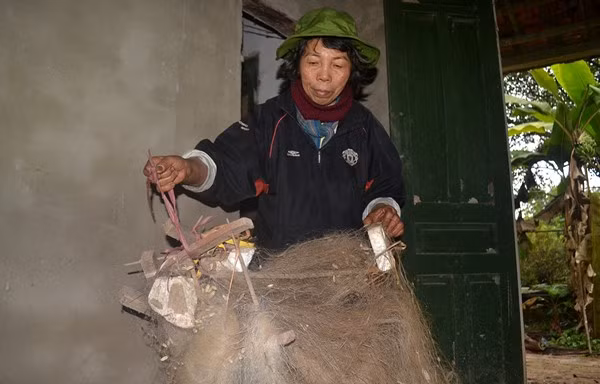 Nếu đi đâu thấy có cây lạ có thể chữa bệnh và ăn được là cô Ngọc lại mang về trồng tại đảo.