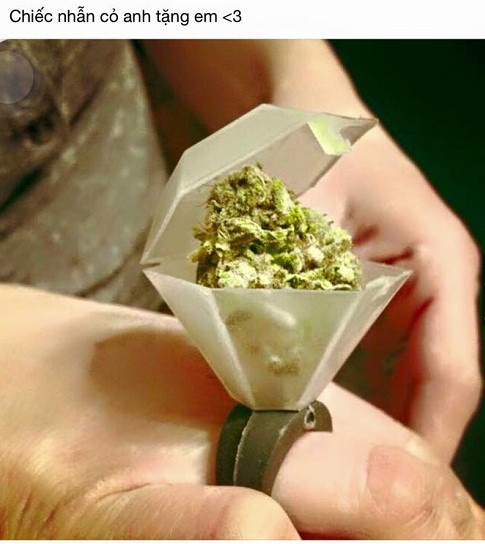 Huyền thoại chiếc "nhẫn cỏ" trao tay đã trở lại và khiến nhiều chị em tiu ngỉu.