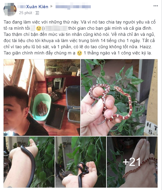 Tâm sự trong một nhóm đông thành viên trên Facebook, chàng trai Vũ Xuân Kiên chia sẻ đang làm nghề nuôi bò sát. Vì công việc kì dị này rút hết thời gian mà cậu dành cho gia đình và bạn gái.