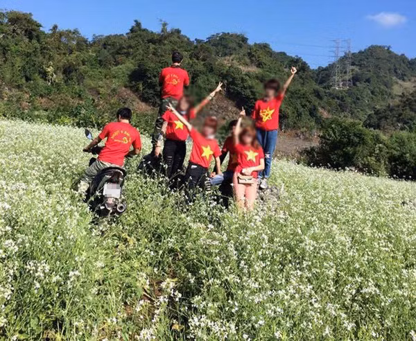 Bên cạnh đó, người dân vùng rẻo cao Hà Giang đã phải rất cố gắng để trồng và chăm sóc những luống hoa tam giác mạch được đẹp để cho du khách tới ngắm nhìn mà các bạn trẻ vô ý thức đã dẫm đạp lên loài hoa này.