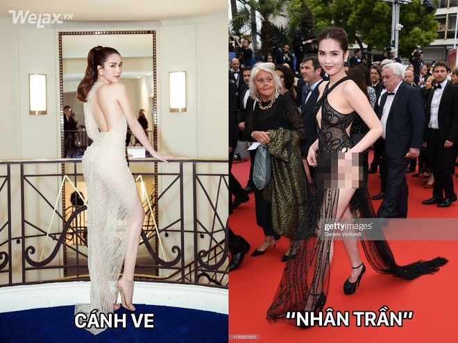 Thời trang cánh ve và nhân trần hoàn toàn khác nhau.