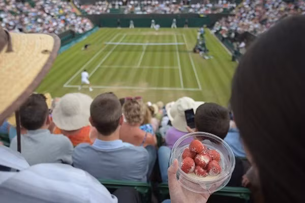 Hàng năm các CĐV tới với Wimbledon ăn hết trung bình 28 tấn dâu tây.