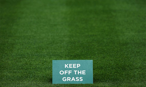 Toàn bộ là các sân cỏ của các sân đấu tại Wimbledon đều có độ cao mặt cỏ vào khoảng 8mm.