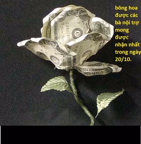 Các anh em dí dỏm nói đùa rằng: Ngày phụ nữ Việt Nam 20/10, phái đẹp chắc thích nhất là bông hoa "đồng tiền".