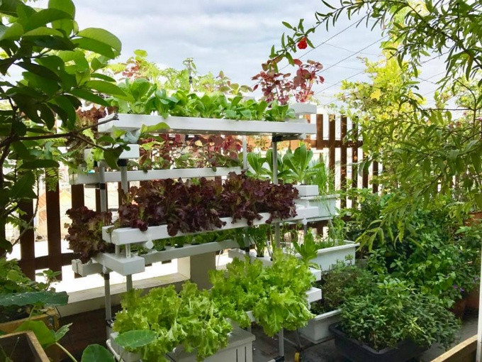 Ngay khi xây dựng ngôi nhà, vợ chồng chị đã lên ý tưởng thiết kế vườn và thực hiện biện pháp chống thấm, thoát nước kỹ càng vì một phần không nhỏ diện tích vườn áp dụng phương pháp trồng trực tiếp xuống mặt trần. Hệ thống thủy canh được chị lắp đặt sau này chủ yếu để trồng các loại rau sạch làm salad.