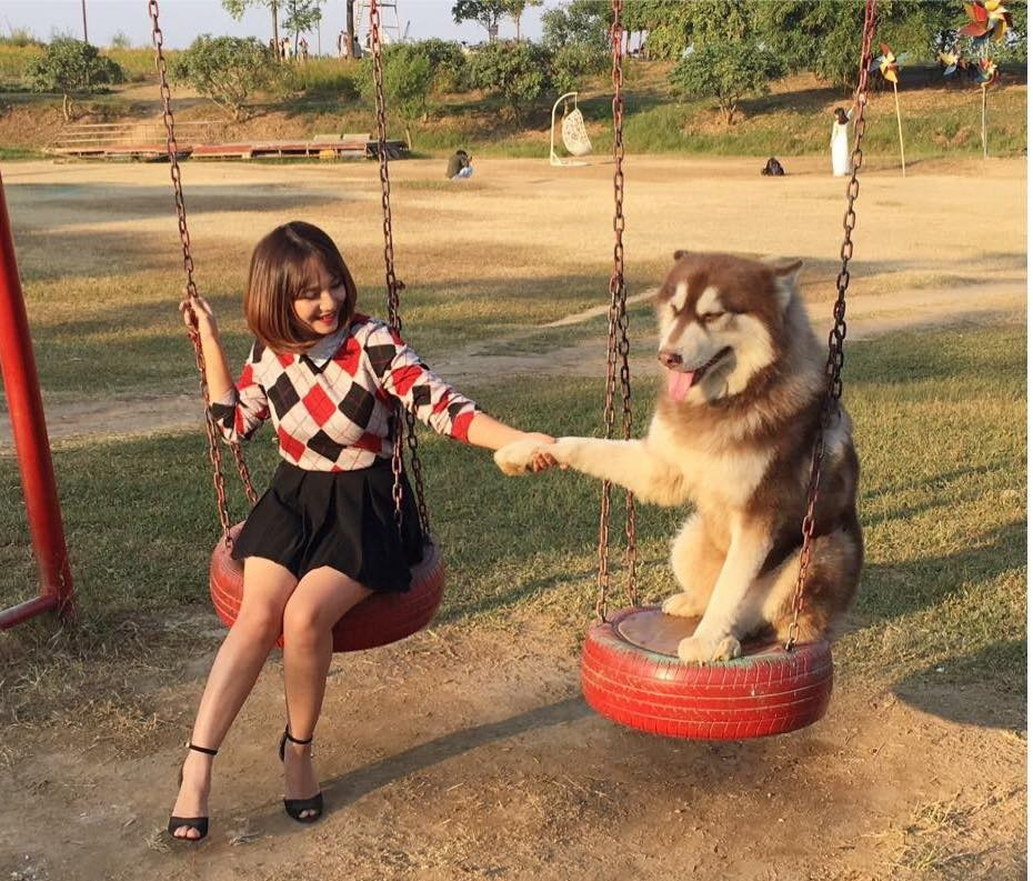 Không biết ai mới là nhân vật chính trong bức ảnh này.