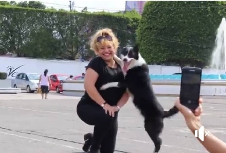 Có những người đồng cảm với nhóm bạn vì cũng từng gặp phải trường hợp phá game như trên đến từ những chú chó.