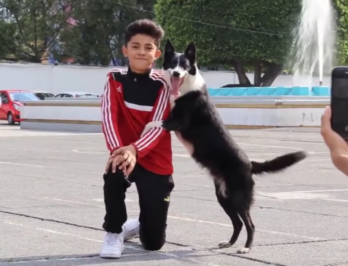 Từ những bức ảnh trên mới thấy rằng, đâu chỉ có con người mới thích tự sướng mà các chú chó cũng là fan hâm mộ của loại hình này.