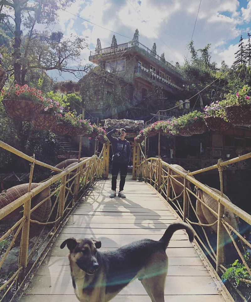 Mới đây, trên MXH xuất hiện hình ảnh của một nhóm bạn đang chụp ảnh thì bất ngờ bị một chú chó không biết từ đâu tới chạy vào chụp ké.