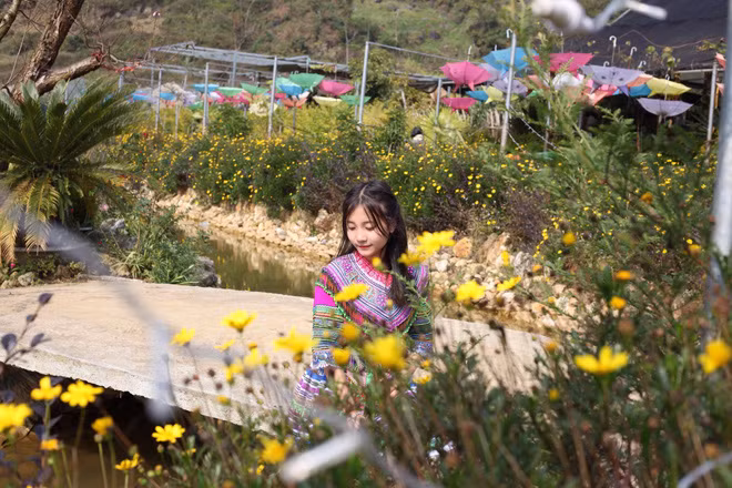 Chỉ vài giờ sau khi được chia sẻ lên mạng xã hội, đoạn clip này nhanh chóng lan truyền trên khắp các diễn đàn, thu hút hàng trăm nghìn lượt xem và yêu thích. Đặc biệt, danh tính của cô gái trẻ cũng được dân mạng truy tìm.