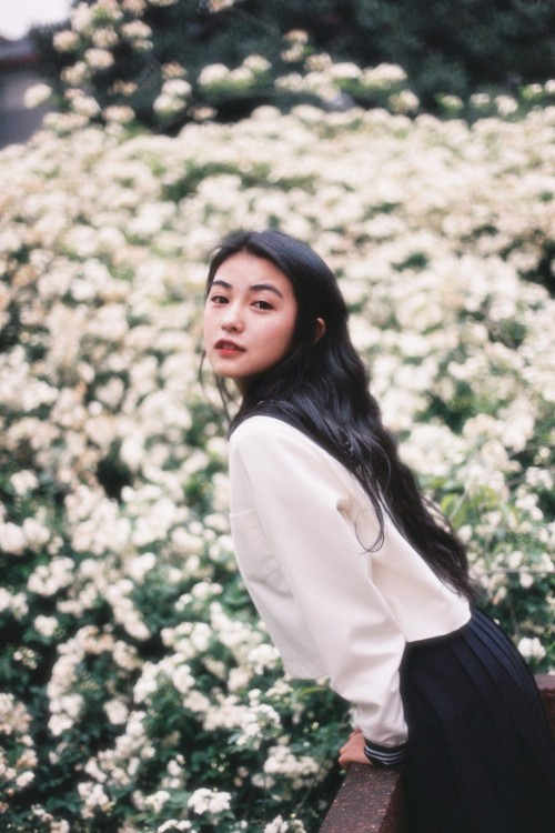 Sự nên thơ của các tấm ảnh đã mang về cho Khai Nha gần 300.000 người theo dõi trên Weibo.