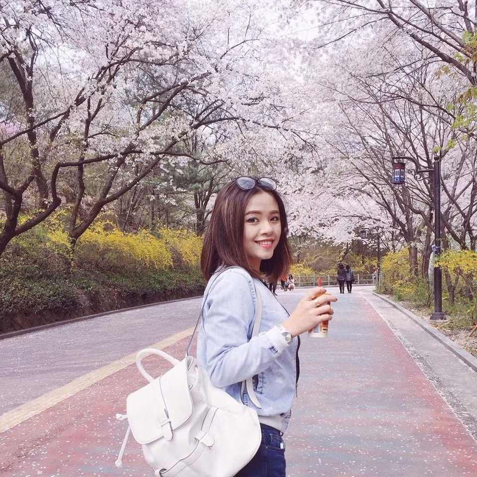 Hoa anh đào trắng là loài hoa đặc trưng khi bạn đến thăm Hàn Quốc vào dịp tháng 4 này. Ảnh: Chung Lê.