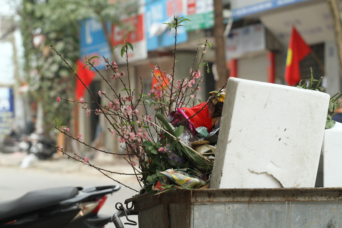 Việc những cành đào bị ném ra xe rác sớm không phải quá bất thường. Hàng năm, cũng vào những ngày này, người dân cũng đã vứt những cành đào được mua trước 23 tháng Chạp.