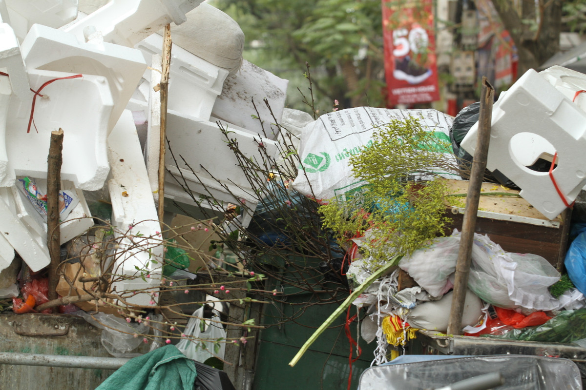 Những xe rác với các cành đào đã nở hết hoa khá nhiều tại Hà Nội ngày cuối năm.