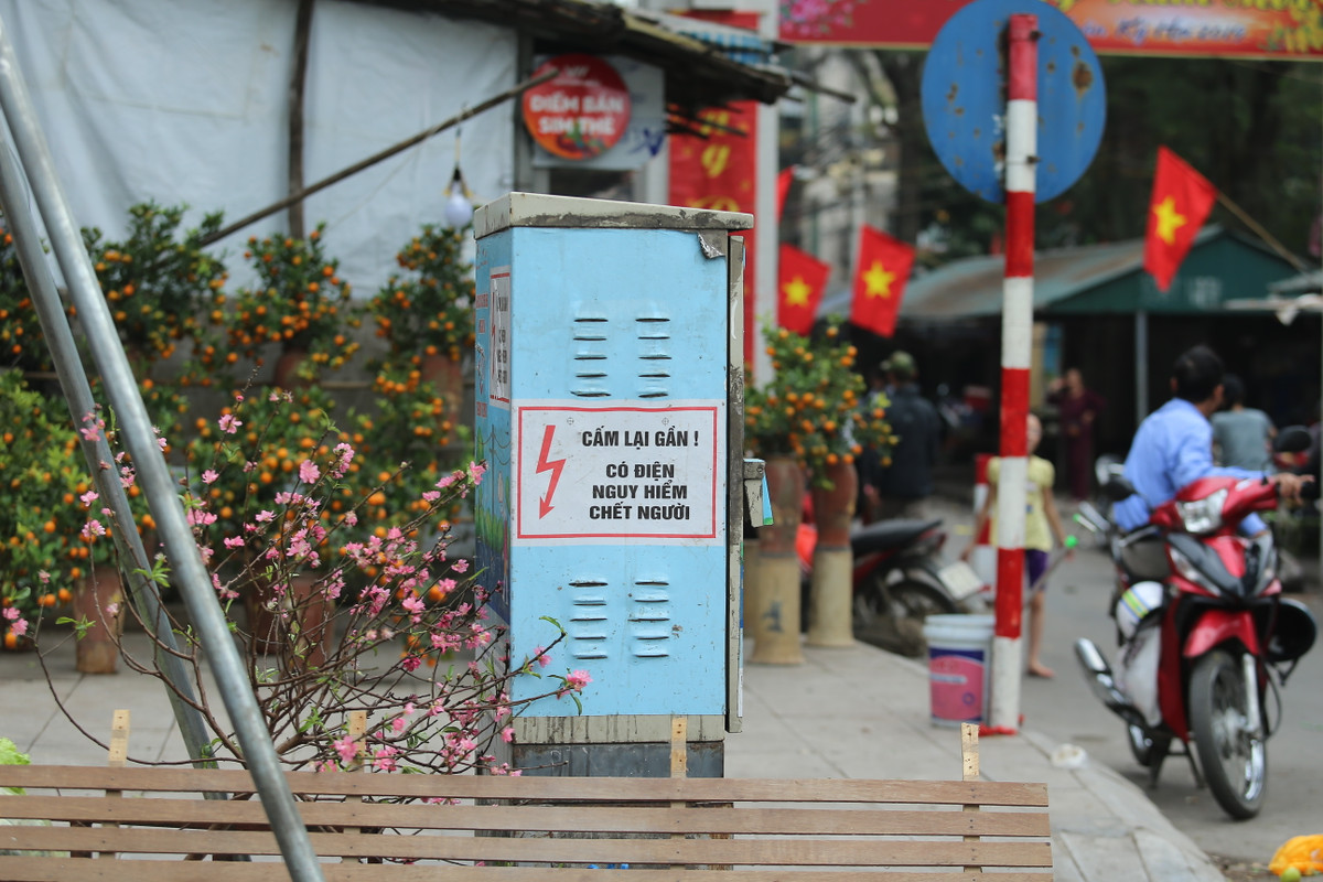 Không chỉ được vứt lên xe rác, nhiều cành đào còn bị người dân vứt ngay ra vỉa hè.