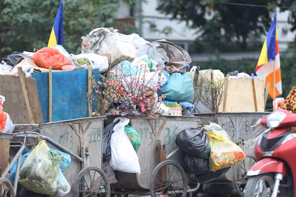 Bên cạnh rác sinh hoạt thì ngày cận Tết có thêm những cành đào đã nở hết hoa.