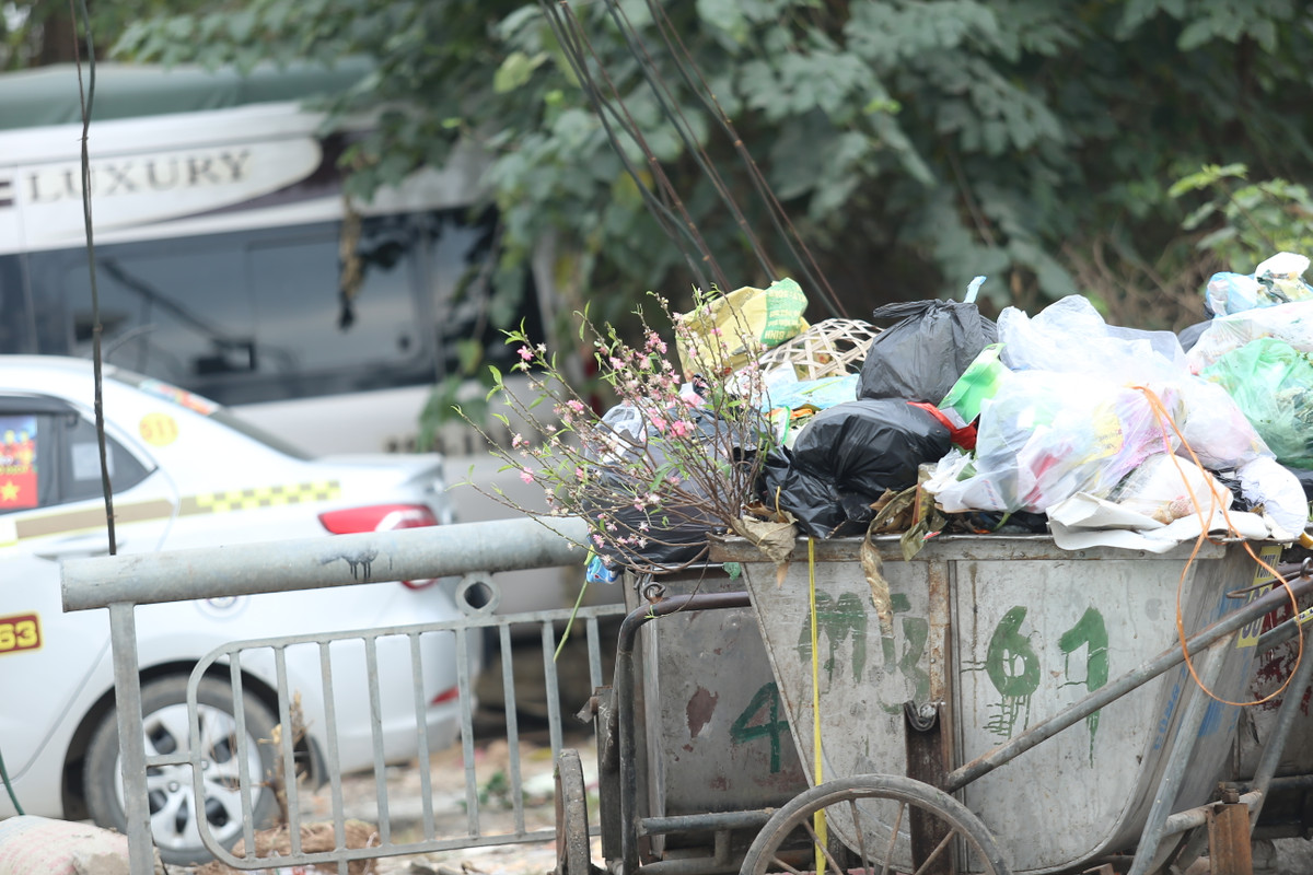 Những cành đào cắm trên xe rác ở khu vực bờ sông phố Khương Trung.