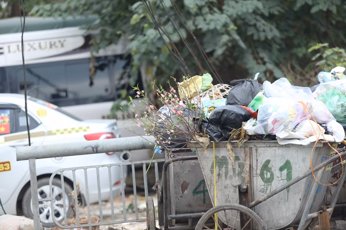 Những cành đào cắm trên xe rác ở khu vực bờ sông phố Khương Trung.