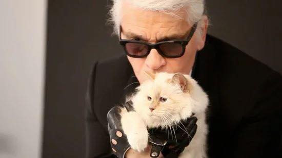 Mèo Choupette là một nhân vật nổi tiếng trong giới thời trang với hơn 170.000 người theo dõi trên mạng xã hội.