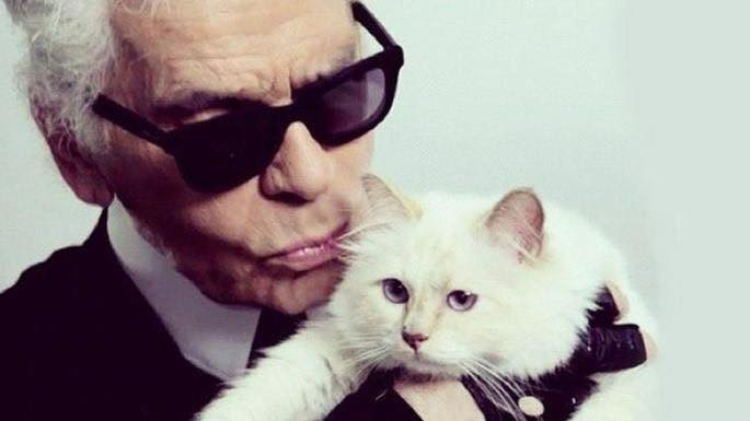 Trước khi qua đời, ông Lagerfeld từng chia sẻ rằng Choupette có tài sản riêng. Ít nhất chú mèo giàu có này có 3 triệu euro từ việc quảng cáo cho một công ty xe hơi Đức và một thương hiệu mỹ phẩm Nhật Bản.