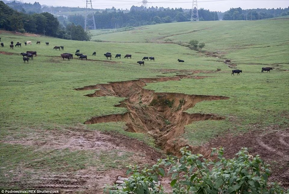 Nhiếp ảnh gia Ba Lan Arkadiusz Podniesinski đã thực hiện dự án ghi lại những cảnh tượng 'ám ảnh' ở khu vực bị ảnh hưởng, cung cấp cái nhìn sâu hơn về nơi bị phóng xạ tàn phá và dần trở nên quên lãng. (Nguồn: CCTVNews).