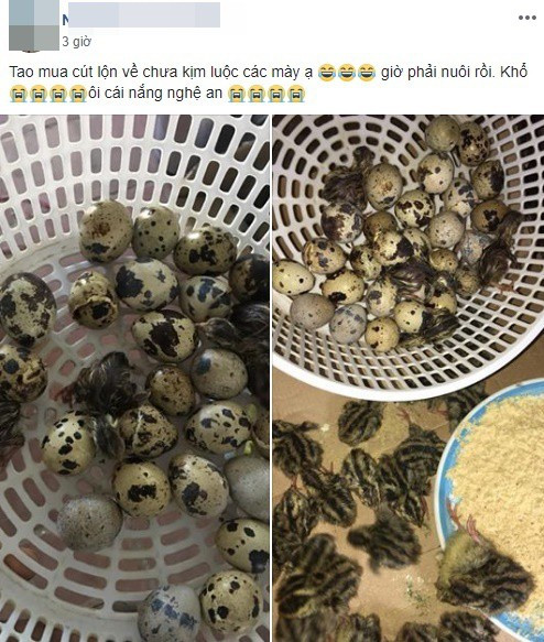 Trong những ngày qua, mạng xã hội Việt xuất hiện không ít những hình ảnh, câu chuyện dở khóc dở cười có liên quan tới đợt nắng nóng đỉnh điểm trên diện rộng ở các tỉnh miền Bắc và miền Nam.