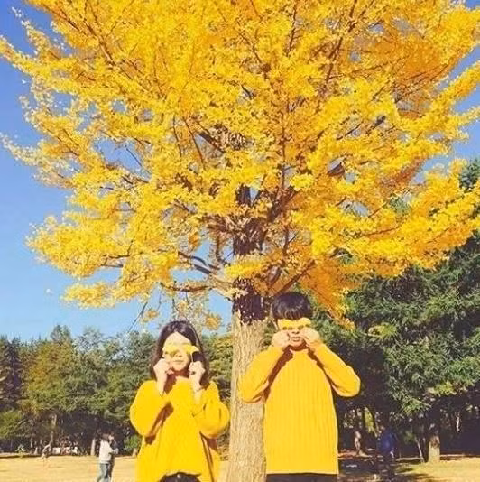 Lần mò trên mạng xã hội, rất nhiều các cặp đôi đã chia sẻ các cách tạo dáng chụp ảnh vô cùng ấn tượng. Dù không đứng sát vào nhau, âu yếm nhưng các cặp đôi đã tạo ra một bức ảnh hài hòa với màu áo cùng tông với cây phía sau.