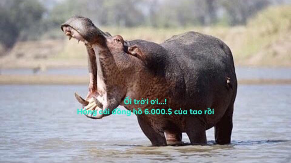 Mới đây, dân mạng đưa ra loạt ảnh chế lật lại toàn bộ sự việc qua con mắt hài hước. Từ việc bà Hiền la khóc vì chiếc đồng hồ 6.000 đô của mình cho đến liên tục xưng mày tao với nhân viên hàng không.