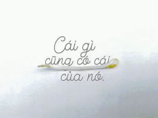 Mượn sự phong phú của tiếng Việt, cư dân mạng thi nhau chế ảnh giải nhiệt mùa hè. Trong ảnh, cư dân mạng sử dụng một cọng giá để nói lên câu: "Cái gì cũng có cái giá của nó".