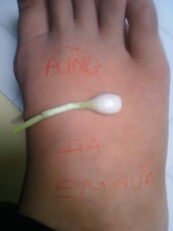 "Đừng hành hạ em nữa".