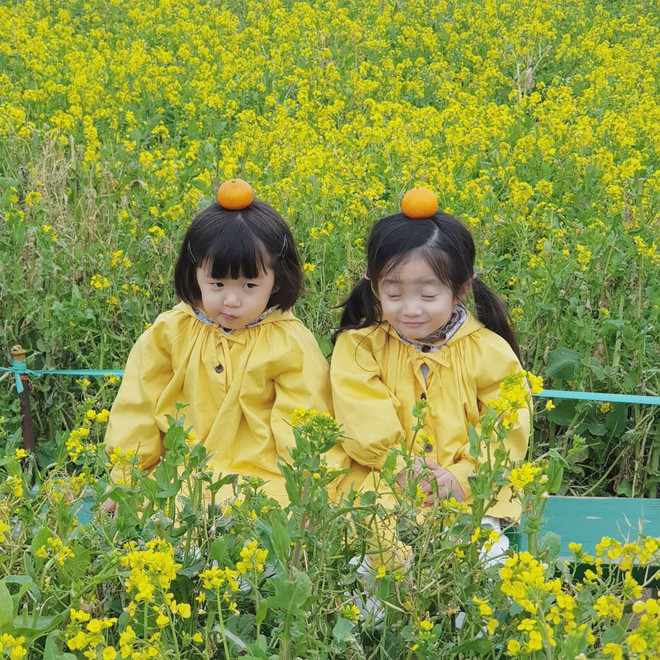 Sua và Suji được bố mẹ ví như hai viên kim cương quý giá. Hai cô bé được mẹ sắm cho rất nhiều quần áo đẹp, thường xuyên được chụp ảnh.