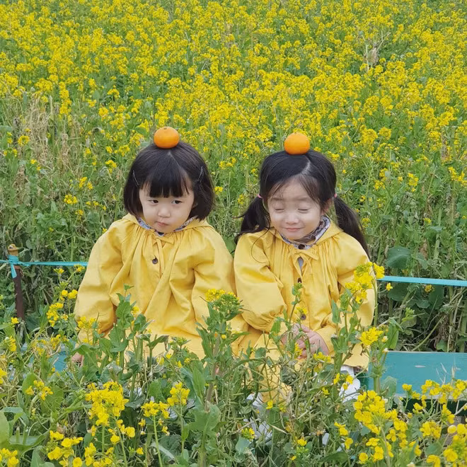 Sua và Suji được bố mẹ ví như hai viên kim cương quý giá. Hai cô bé được mẹ sắm cho rất nhiều quần áo đẹp, thường xuyên được chụp ảnh.