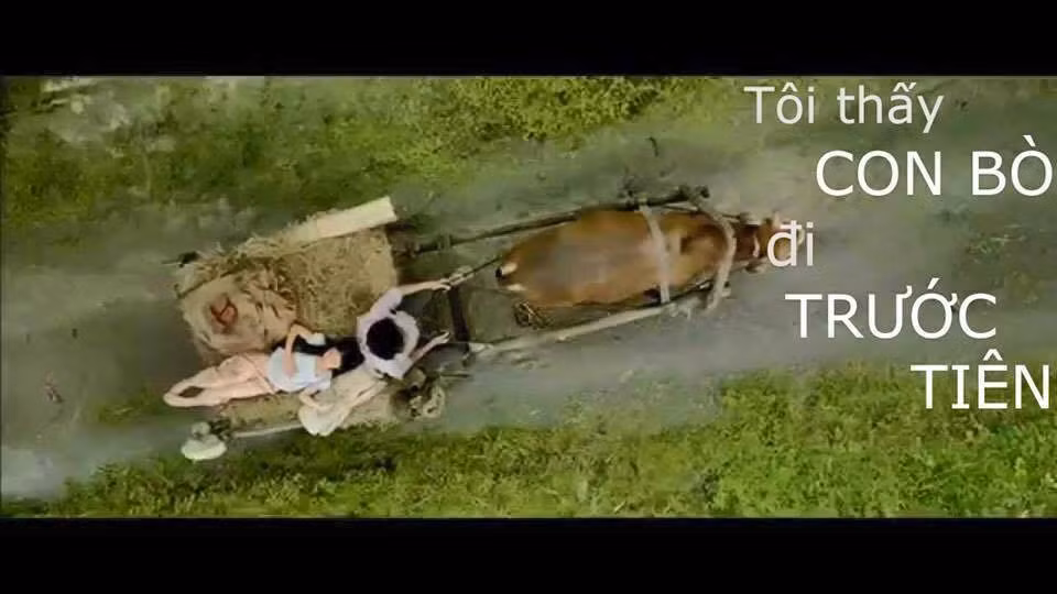 Tôi thấy một điều quá hiển nhiên.