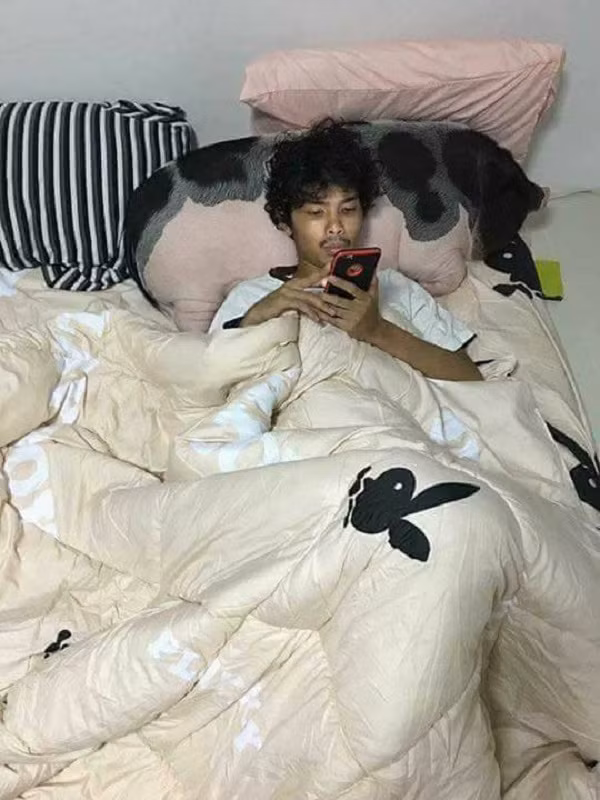 Mặc dù được đặt mua rầm rộ, theo các chuyên gia thú y ở TP HCM, người nuôi không nên chạy theo xu hướng bởi lợn là loài nuôi lấy năng xuất thịt và nếu không huấn luyện chúng đi vệ sinh đúng chỗ thì quả là một thảm họa.