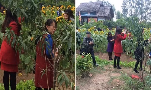 Di le chua cau an tien tay be cay, chup anh