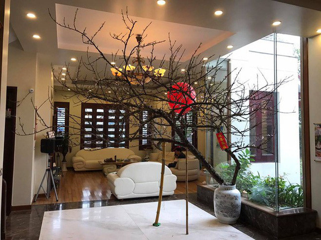 Biet thu san vuon nam trong khu nha giau cua nang A hau Ngo Tra My-Hinh-5