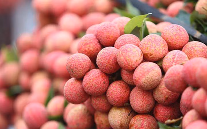 Vải thiều Việt Nam đã chinh phục thành công nhiều thị trường khó tính trên thế giới. (Ảnh: Thanh Niên)