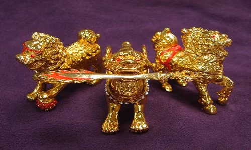 Kieu nha neu dong tho nam 2017, coi chung gap hoa sat than-Hinh-3