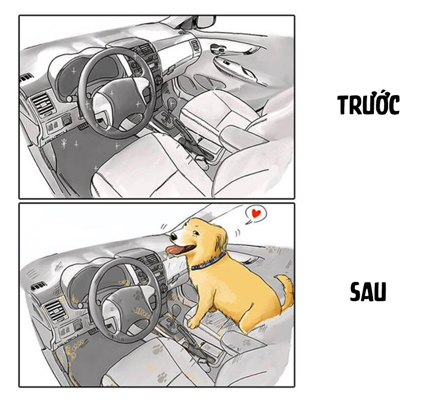 Chiếc xe với nội thất sang trọng bạn luôn tự hào, nhìn chẳng khác gì đống đồng nát sau khi cho em cún của bạn lên đó thăm thú.