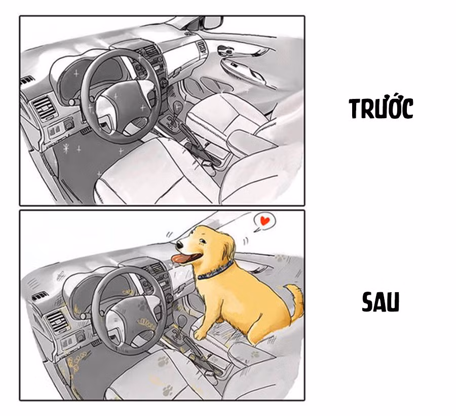 Chiếc xe với nội thất sang trọng bạn luôn tự hào, nhìn chẳng khác gì đống đồng nát sau khi cho em cún của bạn lên đó thăm thú.