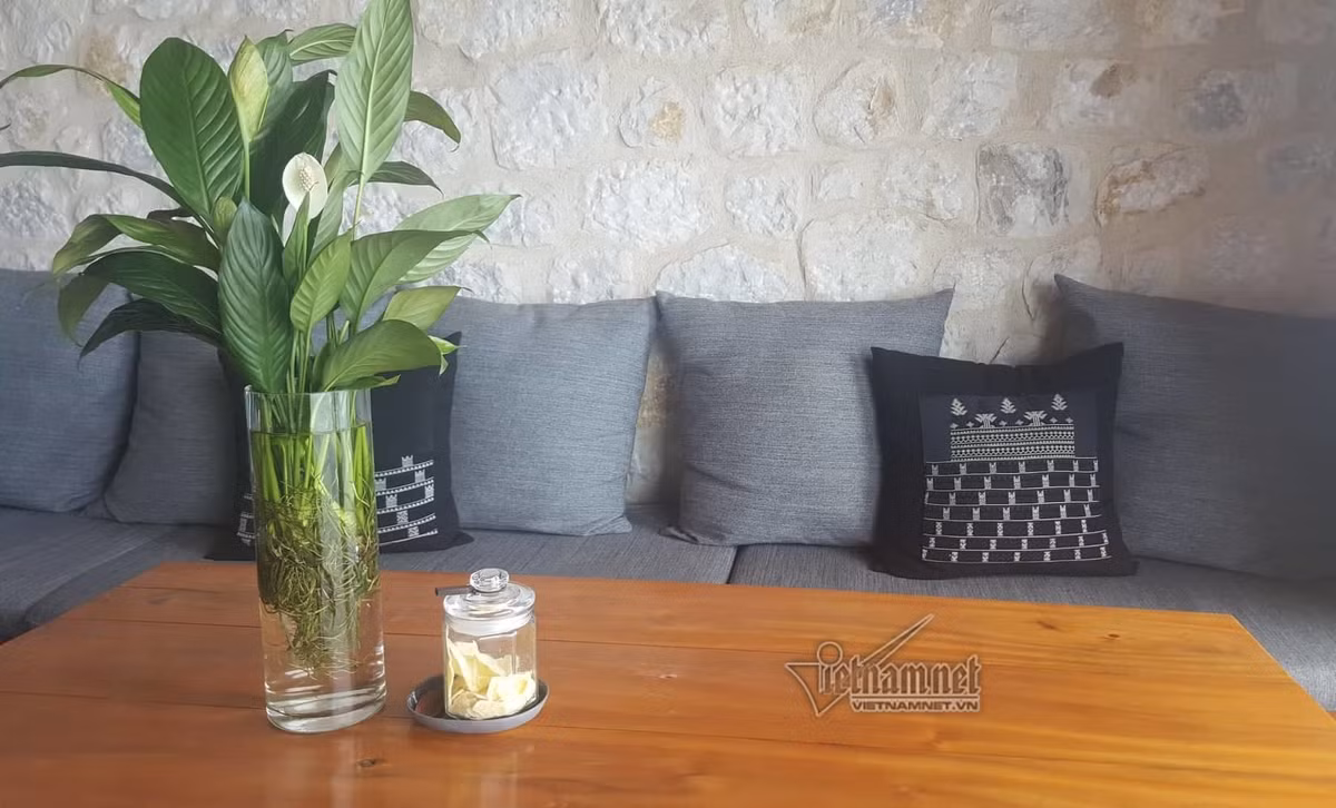 Chi dau ngoai tinh trang tron, bit mieng vo chong toi bang 