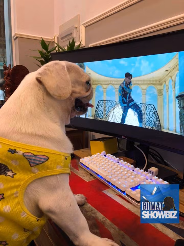 Trên khắp các mặt báo cũng như MXH sáng ngày 2/7 tràn ngập những lời bàn tán về "Hãy trao cho anh".